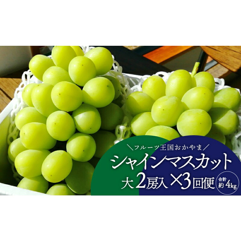 岡山のシャインマスカットを楽しむ満足３回便！特大２房×3回/全便計3.9kg～ (定期便)(岡山県産)｜ 果物 フルーツ マスカット ますかっと くだもの 先行予約 ブドウ 葡萄 ぶどう 真庭市　シャ