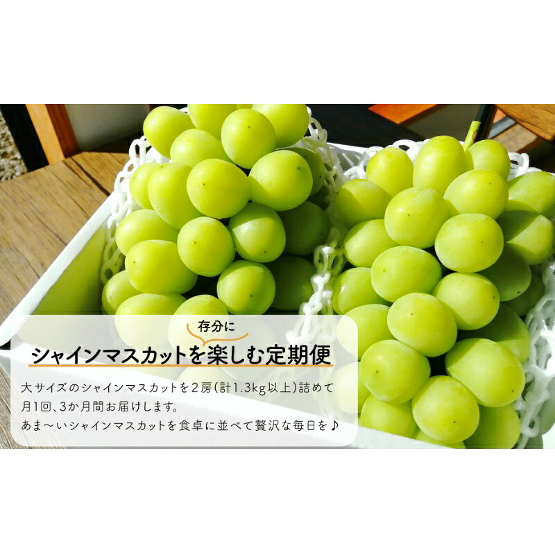 岡山のシャインマスカットを楽しむ満足3回便!特大2房×3回/全便計3.9kg~ (定期便)(岡山県産)| 果物 フルーツ マスカット ますかっと くだもの 先行予約 ブドウ 葡萄 ぶどう 真庭市 シャ