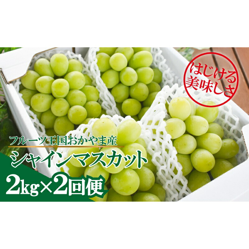岡山のシャインマスカットを楽しむ満足2回便！3-5房入×２回/全便計4.0kg～ (定期便)(岡山県産)【KF-T046-03】