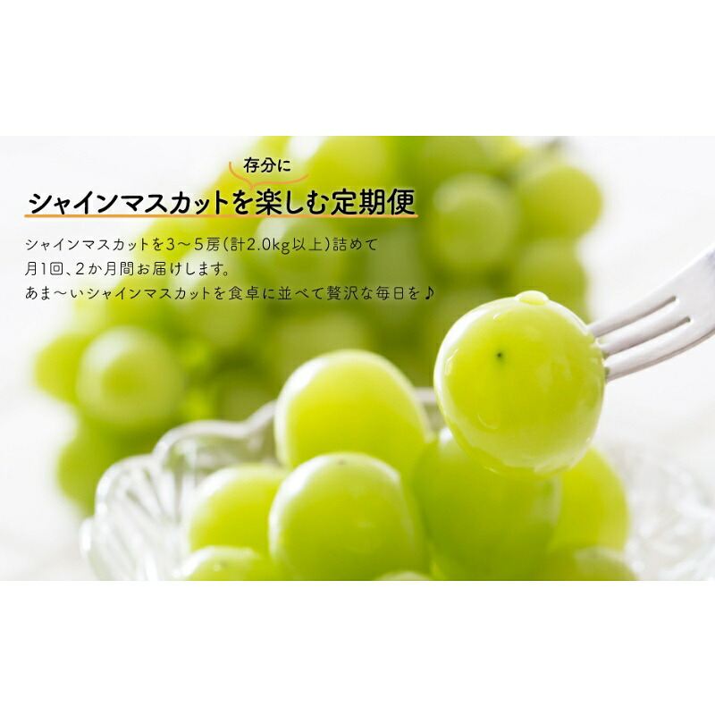 岡山のシャインマスカットを楽しむ満足2回便!3-5房入×2回/全便計4.0kg~ (定期便)(岡山県産)【KF-T046-03】