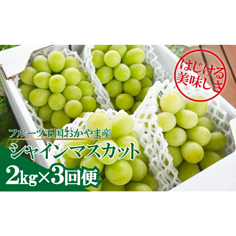岡山のシャインマスカットを楽しむ満足3回便！3-5房入×3回/全便計6.0kg～ (定期便)(岡山県産)　｜ 岡山 ぶどう シャインマスカット マスカット しゃいんますかっと 葡萄 産地直送 種なし