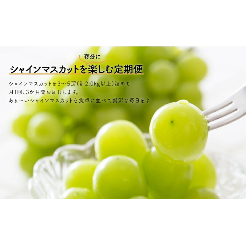 岡山のシャインマスカットを楽しむ満足3回便！3-5房入×3回/全便計6.0kg～ (定期便)(岡山県産)　｜ 岡山 ぶどう シャインマスカット マスカット しゃいんますかっと 葡萄 産地直送 種なし