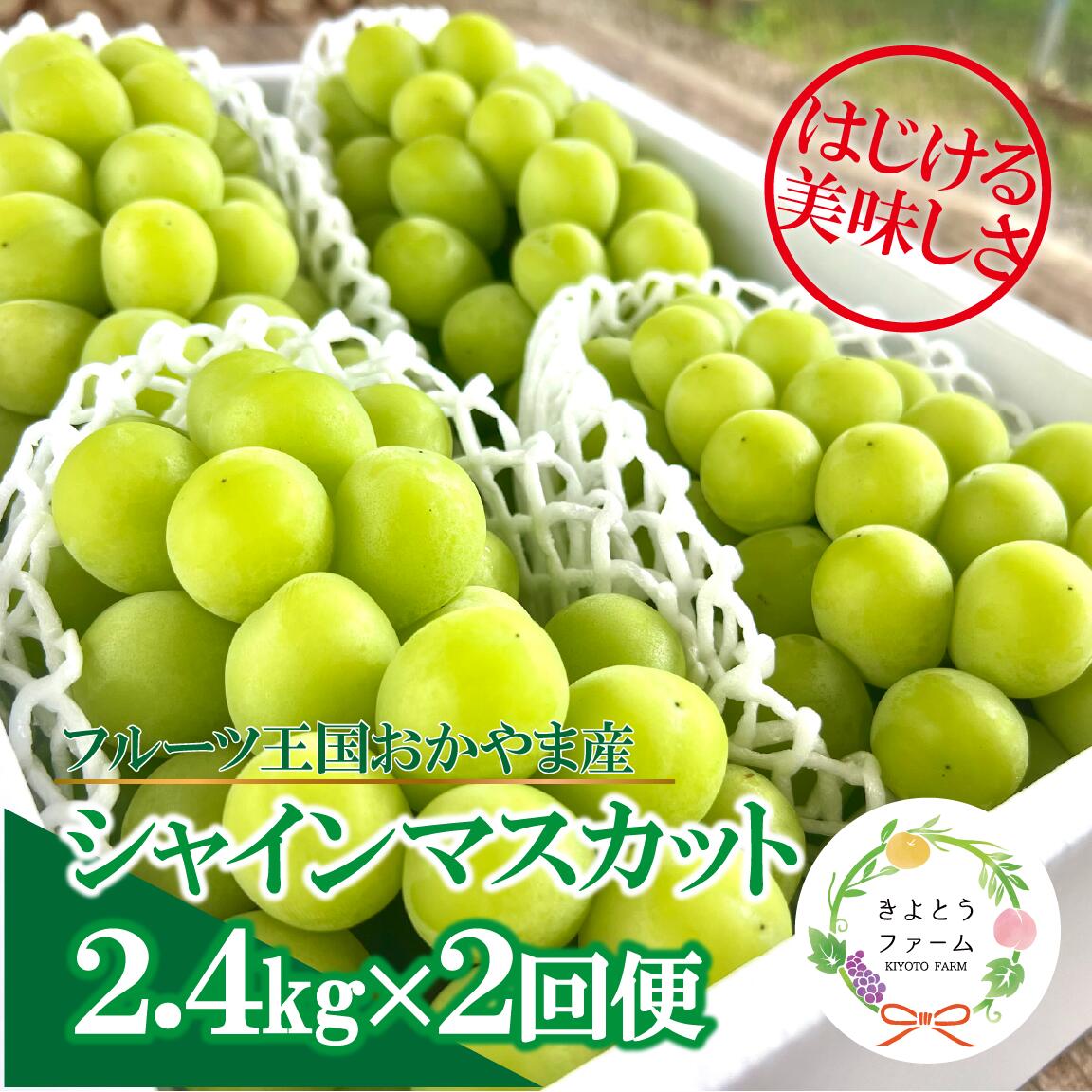 岡山のシャインマスカットを楽しむ満足2回便！大3-5房入×2回/全便計4.8kg～ (定期便)(岡山県産)｜ 岡山 ぶどう シャインマスカット マスカット しゃいんますかっと 葡萄 産地直送 種なし