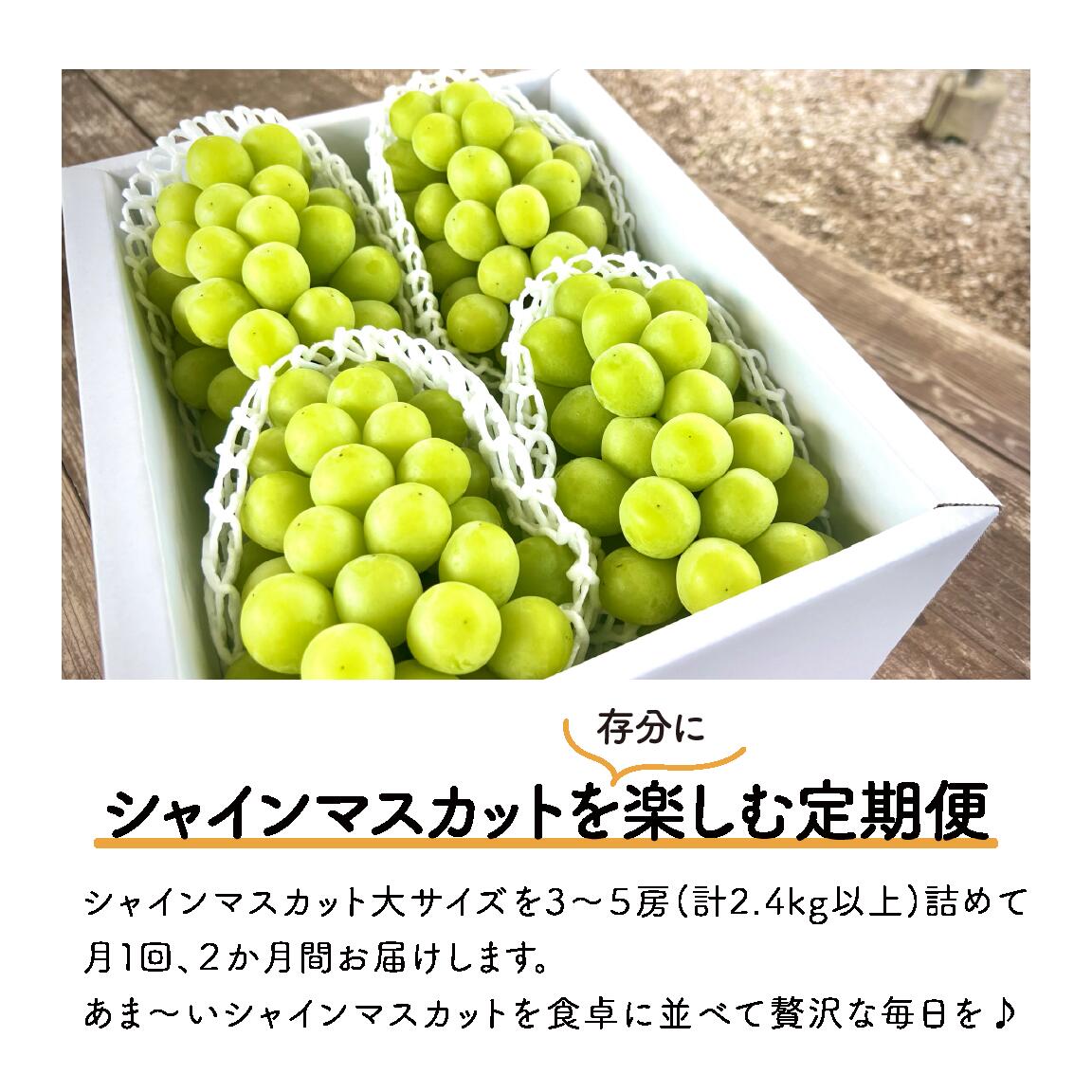 岡山のシャインマスカットを楽しむ満足2回便！大3-5房入×2回/全便計4.8kg～ (定期便)(岡山県産)｜ 岡山 ぶどう シャインマスカット マスカット しゃいんますかっと 葡萄 産地直送 種なし