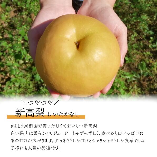 新高梨 上級品 3-6玉 (岡山県産)【KF-C002-01】
