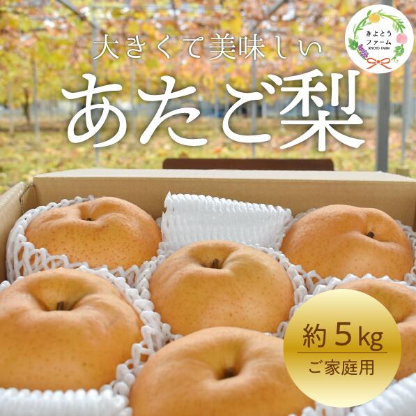 あたご梨 ご家庭用 / 約5kg (岡山県産) / あたご梨 愛宕梨 梨 ご家庭用 果物 くだもの フルーツ 和梨 【KF-C008-03】