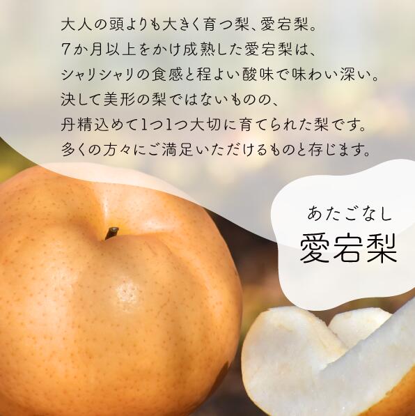 あたご梨 ご家庭用 / 約5kg (岡山県産) / あたご梨 愛宕梨 梨 ご家庭用 果物 くだもの フルーツ 和梨 【KF-C008-03】