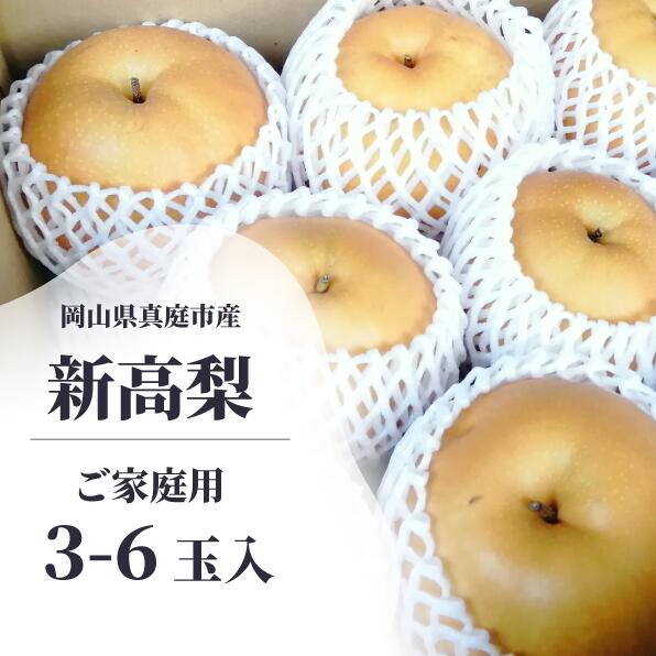 新高梨 ご家庭用 3-6玉 (岡山県産) 【KF-C020-01】