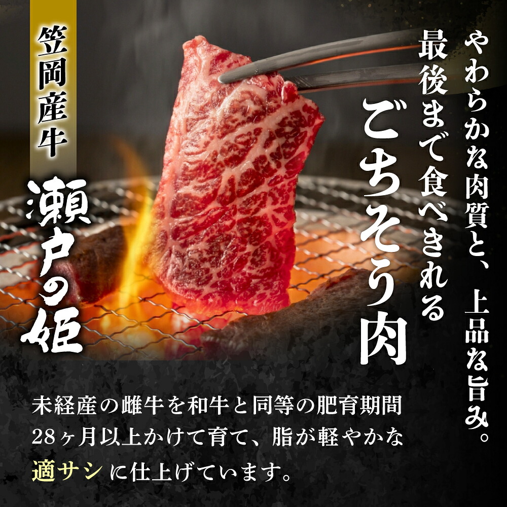焼肉用 【冷蔵配送】 瀬戸の姫 300g以上 岡山県笠岡産牛 牛肉 焼肉 焼き肉 カット 贅沢 【tfam001-01】