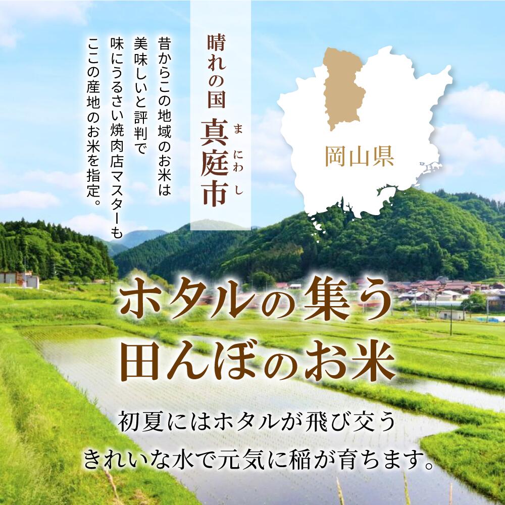 【令和8年産】岡山県産 ひとめぼれ (無洗米) 5kg~30kg 定期便 / お米 米 新米 人気 真庭市産 2026年産