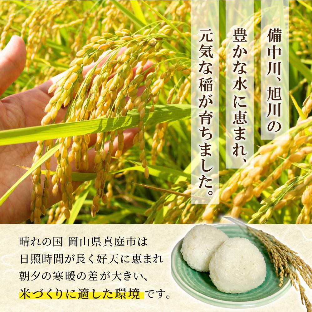 【令和8年産】岡山県産 ひとめぼれ (無洗米) 5kg~30kg 定期便 / お米 米 新米 人気 真庭市産 2026年産