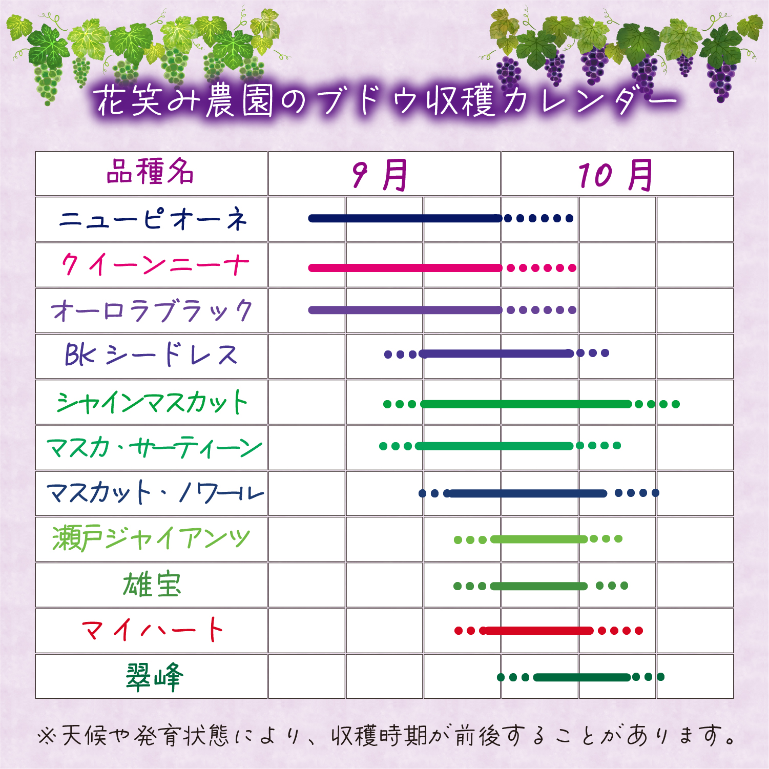 【2027年発送・先行予約】ニューピオーネ 500g以上(中1房) 種なし ｜岡山ピオーネ ピオーネ ぴおーね ぶどう 葡萄 ブドウ 果物 フルーツ 種無し 産地直送 【hana079-02】
