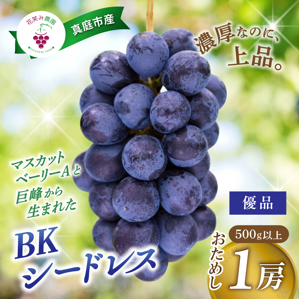 【 2027年 先行予約 】種なしブドウ 岡山産 BKシードレス 500g以上(中1房) 贈答用 花笑み農園 | ぶどう ブドウ 種無しぶどう 国産 果物 くだもの 葡萄 フルーツ 1キロ 【hana083-02】
