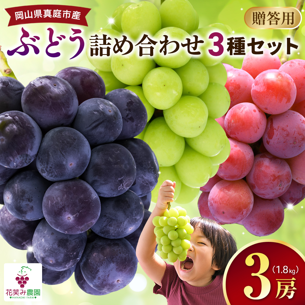 【2027年先行予約】岡山県産種無しぶどう 食べ比べ 3種セット 1.8kg 3房 贈答用 ｜ シャインマスカット ピオーネ クイーンニーナ オーロラブラック ぶどう 詰め合わせ 【hana084-02】