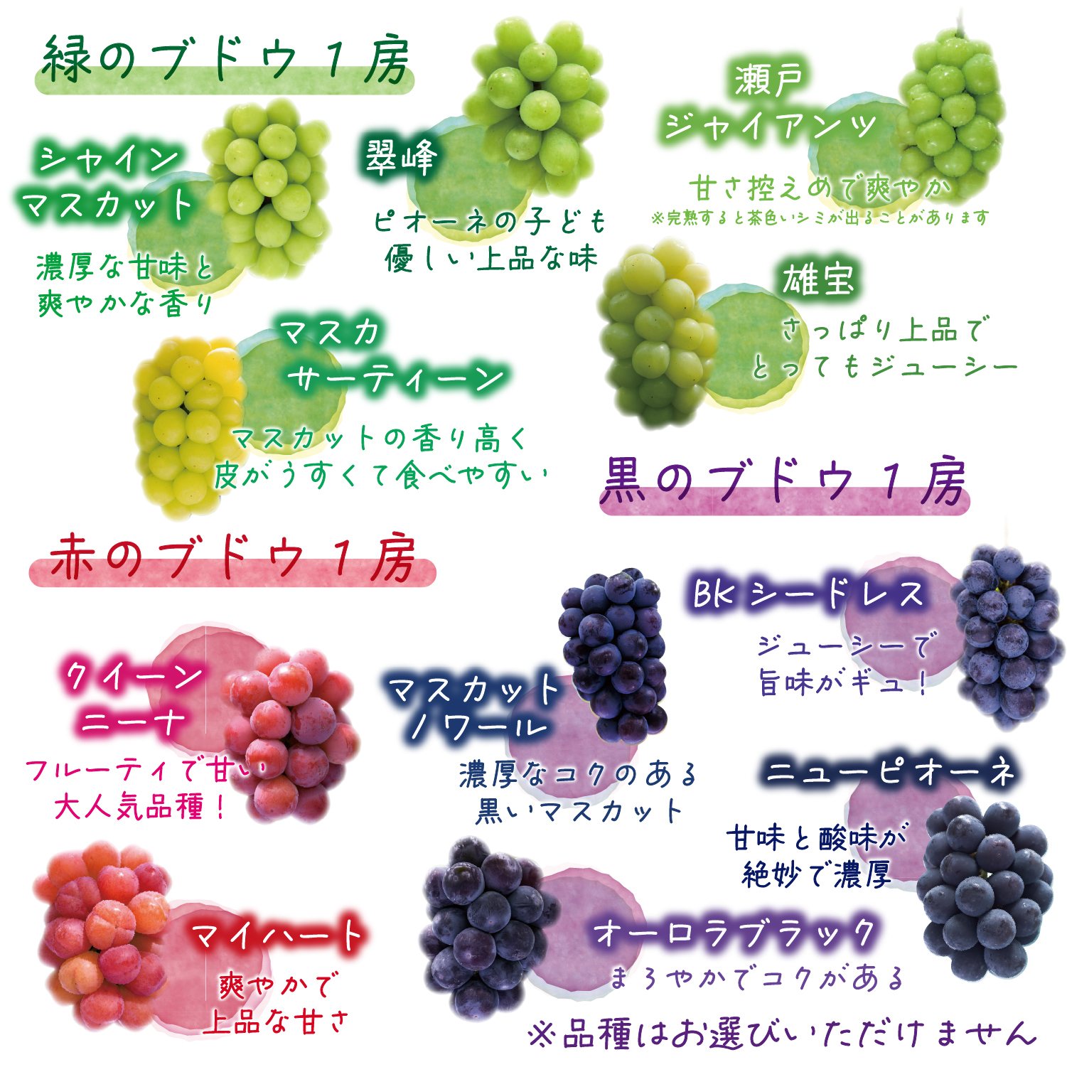 【2027年先行予約】岡山県産種無しぶどう 詰め合わせ 3種セット 1.8kg 3房 家庭用 ｜ シャインマスカット ピオーネ クイーンニーナ オーロラブラック ぶどう 詰め合わせ 【hana085-02】