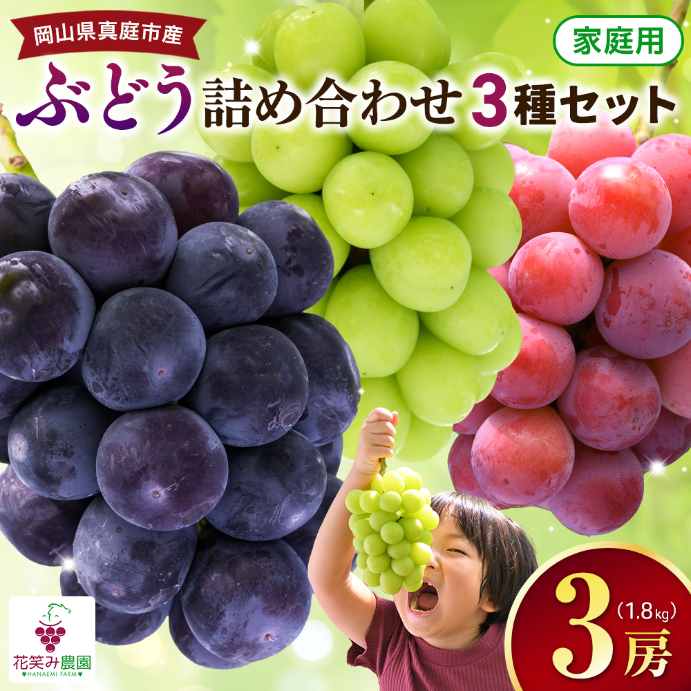 【2027年先行予約】岡山県産種無しぶどう 詰め合わせ 3種セット 1.8kg 3房 家庭用 ｜ シャインマスカット ピオーネ クイーンニーナ オーロラブラック ぶどう 詰め合わせ 【hana085-02】
