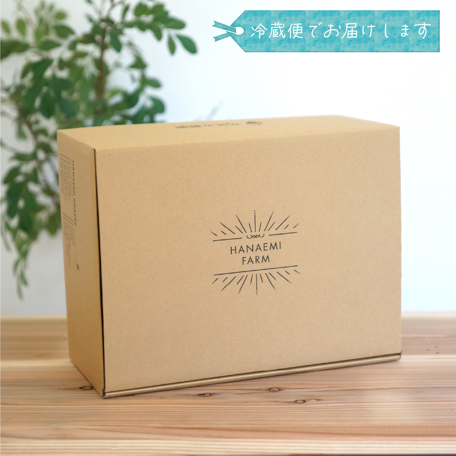 【2027年先行予約】岡山県産種無しぶどう 詰め合わせ 3種セット 1.8kg 3房 家庭用 ｜ シャインマスカット ピオーネ クイーンニーナ オーロラブラック ぶどう 詰め合わせ 【hana085-02】