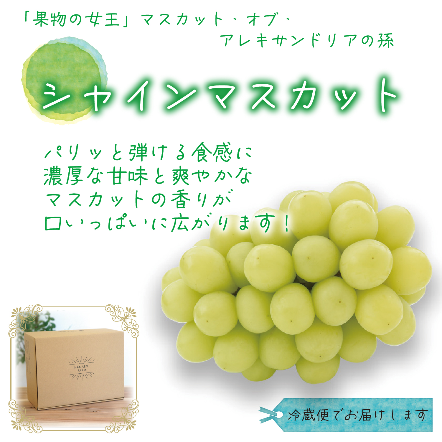 【2027年先行予約】ぶどう 詰め合わせ 4種セット 2kg 4房 家庭用 ｜ シャインマスカット ピオーネ 種なし ぶどう 詰め合わせ 【hana087-02】