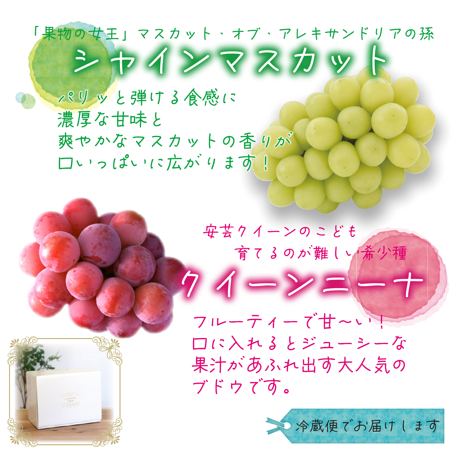 【2027年先行予約】 ぶどう 食べ比べ 2種セット 1kg 2房 シャインマスカット クイーンニーナ ぶどう 葡萄 マスカット 果物 くだもの 【hana066-03】