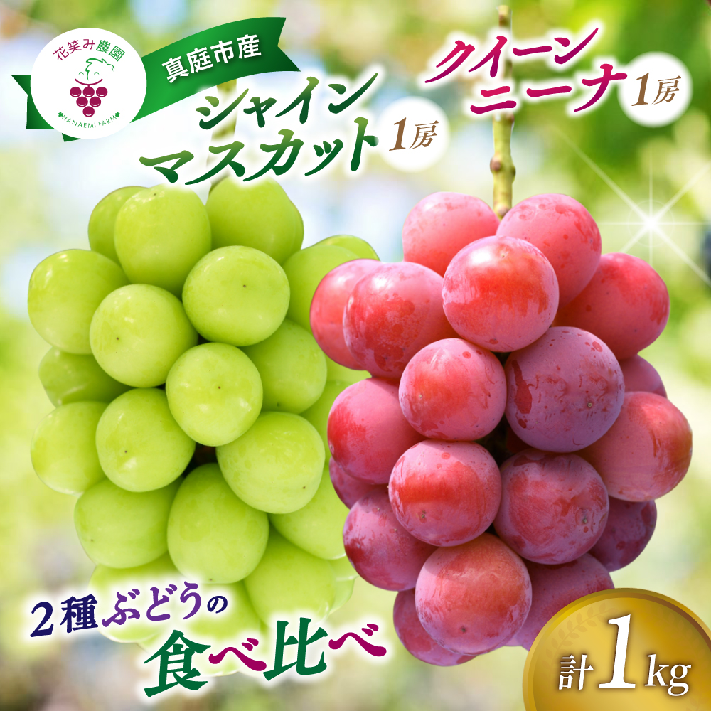 【2027年先行予約】 ぶどう 食べ比べ 2種セット 1kg 2房 シャインマスカット クイーンニーナ ぶどう 葡萄 マスカット 果物 くだもの 【hana066-03】