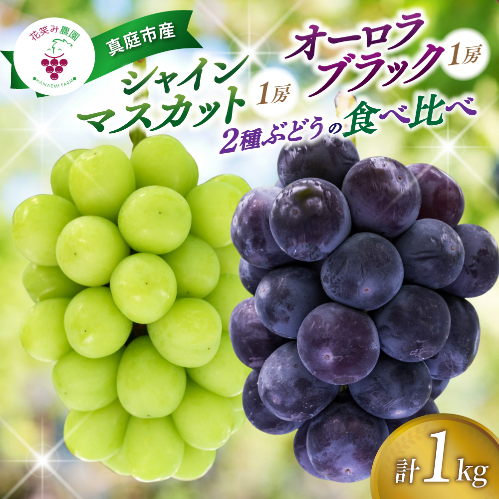 【2027年先行予約】 ぶどう 食べ比べ 2種セット 1kg 2房 シャインマスカット オーロラブラック ぶどう 葡萄 マスカット 果物 くだもの 【hana067-03】