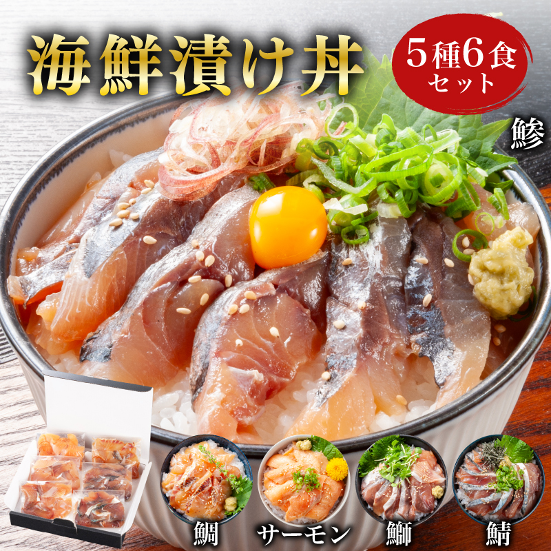 海鮮 漬け丼 5種6食 セット 冷凍 真空パック 鮭 サーモン 真鯛 鯛 タイ 鯖 サバ 鰤 ブリ 鯵 アジ