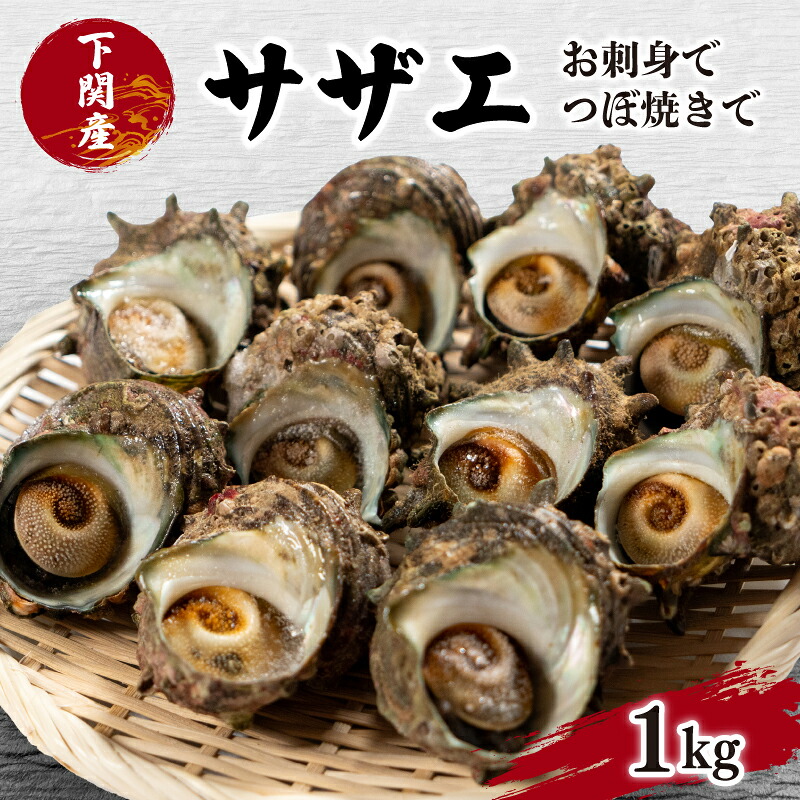 サザエ 1kg 冷凍 さざえ 刺身 つぼ焼き 貝 海鮮 BBQ バーベキュー 焼き 料理 グルメ 下関 北浦 産地直送 貝
