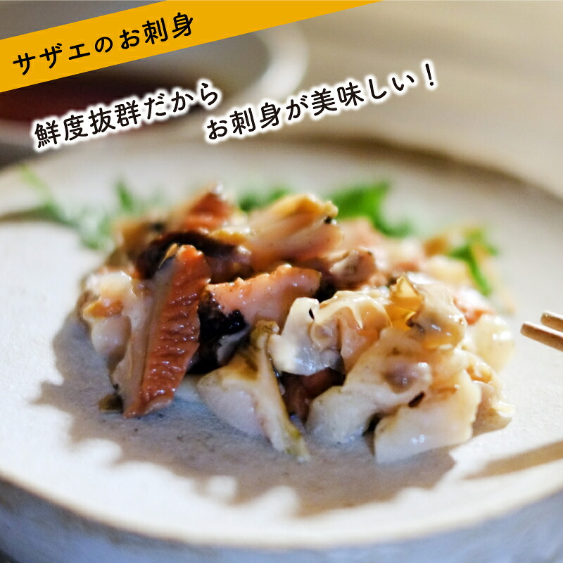 サザエ 1kg 冷凍 さざえ 刺身 つぼ焼き 貝 海鮮 BBQ バーベキュー 焼き 料理 グルメ 下関 北浦 産地直送 貝