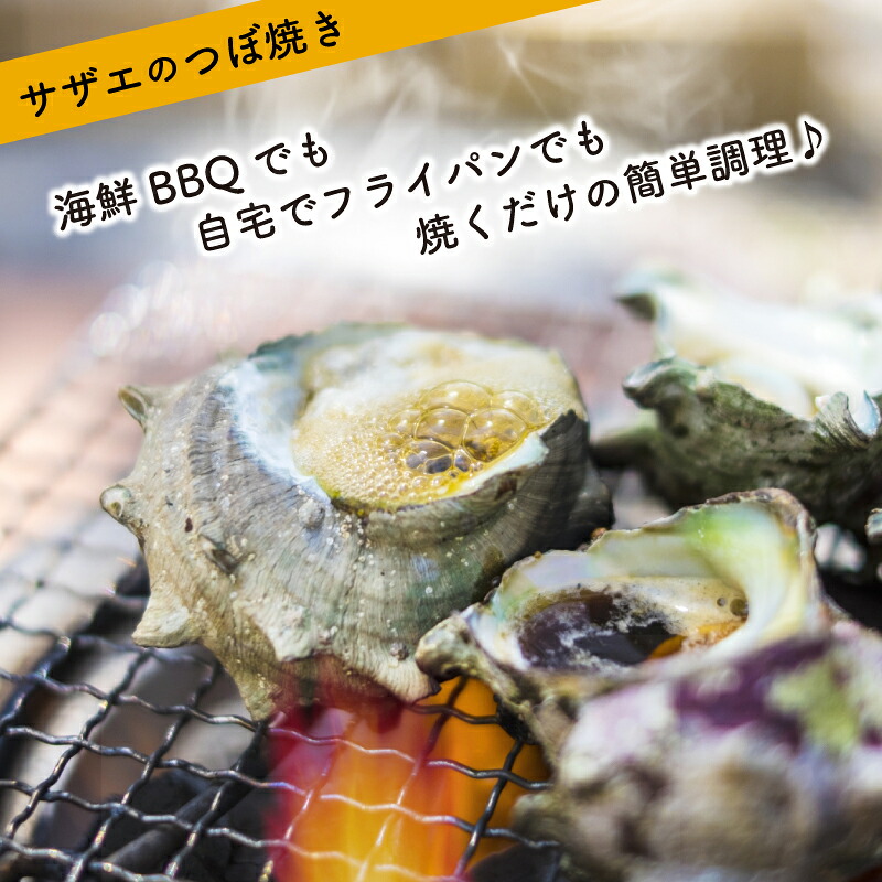 サザエ 1kg 冷凍 さざえ 刺身 つぼ焼き 貝 海鮮 BBQ バーベキュー 焼き 料理 グルメ 下関 北浦 産地直送 貝