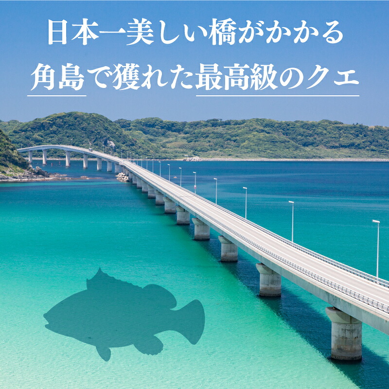 天然 クエ 鍋 セット 高級 九絵 くえ 下関 山口 ( 冷凍 真空 絶品 お手軽 水炊き 高級魚 鮮魚 海鮮魚介 クエ鍋 海鮮鍋 セット 冬 秋 最高級魚 鍋セット 薬味付き ) 下関市