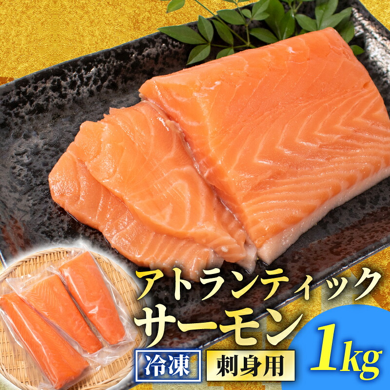訳あり サーモンブロック 1㎏ 800g 400g 冷凍 刺身 鮭 サーモン さーもん 切り身 フィレ 生食 生食用 お刺し身 魚介 海鮮 お魚 魚 サーモン 不揃い 美味しいサーモン サーモンカルパッチョ サーモン料理