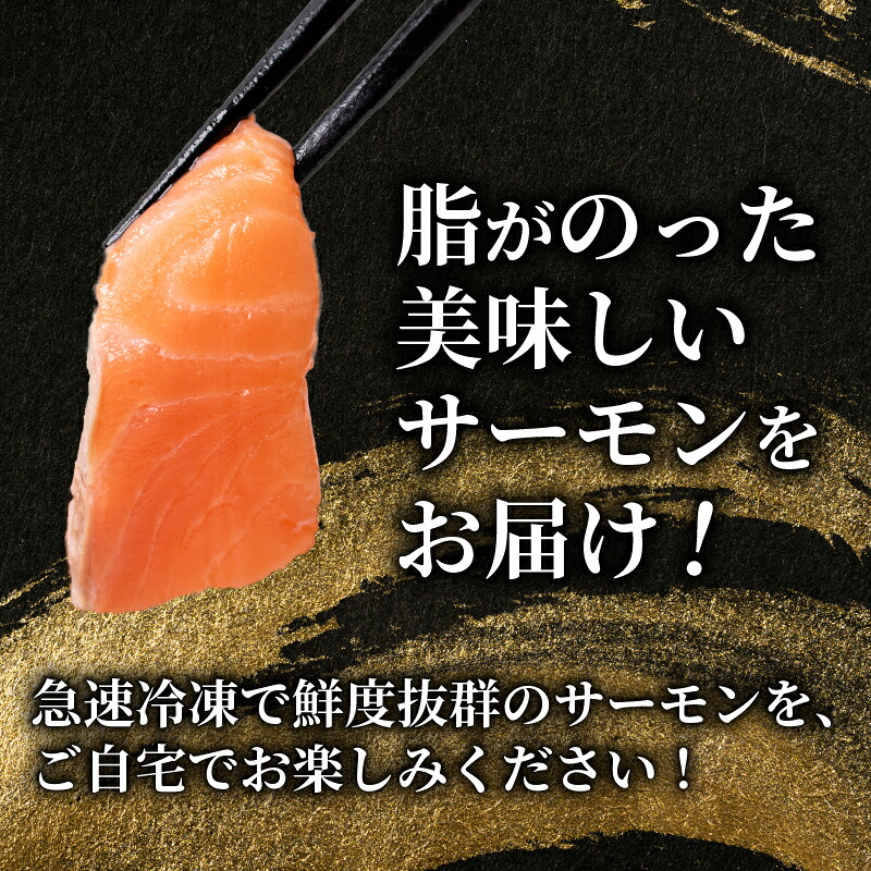 訳あり サーモンブロック 1㎏ 800g 400g 冷凍 刺身 鮭 サーモン さーもん 切り身 フィレ 生食 生食用 お刺し身 魚介 海鮮 お魚 魚 サーモン 不揃い 美味しいサーモン サーモンカルパッチョ サーモン料理