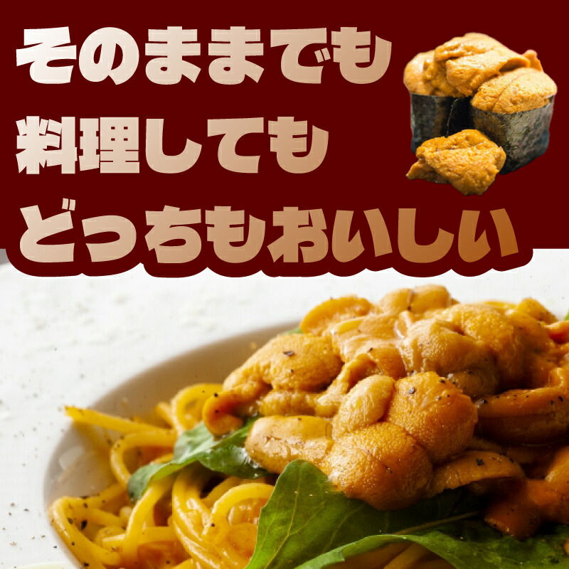 訳あり 大容量 生 ウニ 100g 一汐うに 生うに 生雲丹 雲丹 海鮮 魚介 新鮮 人気 父の日 母の日 中元 歳暮 年末 年始 ギフト プレゼント 自宅用 家用 感謝 高級 人気うに 塩ウニ ウニ
