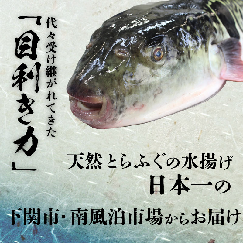 【順次発送】 とらふぐ刺し 4~5人前 冷凍 130g ふぐ皮 ヒレ酒用 ふぐヒレ 付き ( お手軽 解凍するだけ 冷凍 真空 ふぐ 刺身 本場 ふぐ 下関 河豚 フグ刺し ふぐ皮 関門ふぐ とらふぐ