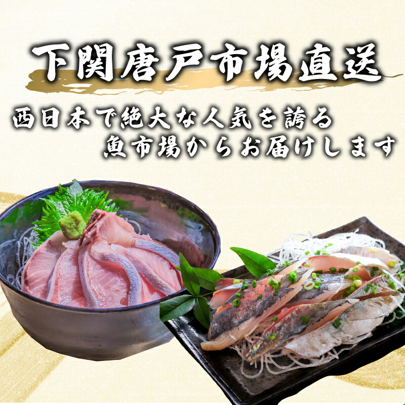 定期便 6回 唐戸市場直送 高級お刺身 各2人前 ふぐ 刺身