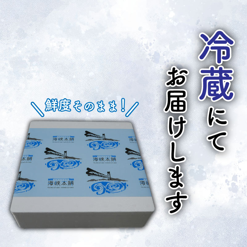 ふぐ 下関 とらふぐ 刺身 セット 2-3人前 冷蔵