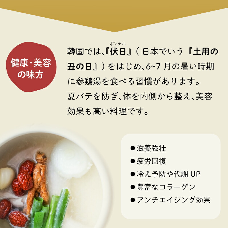参鶏湯（サムゲタン）風 スープ 400g×6袋 セット