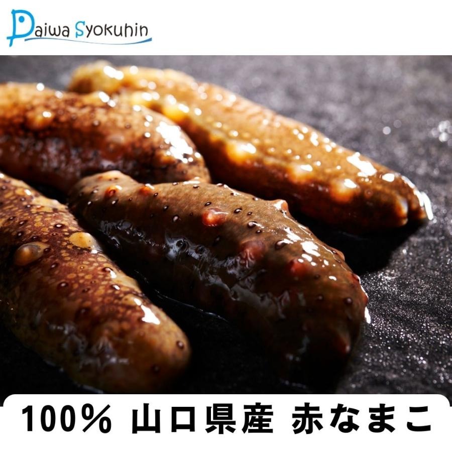 山口県産ポン酢なまこ 500g 冷凍