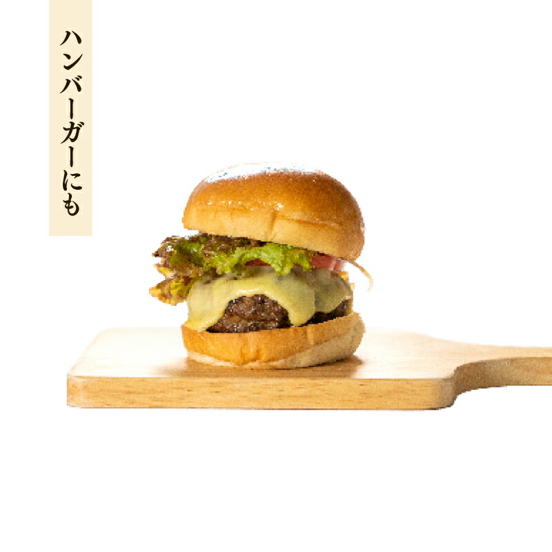 ジビエ ハンバーグ 120g × 10個 計1.2kg