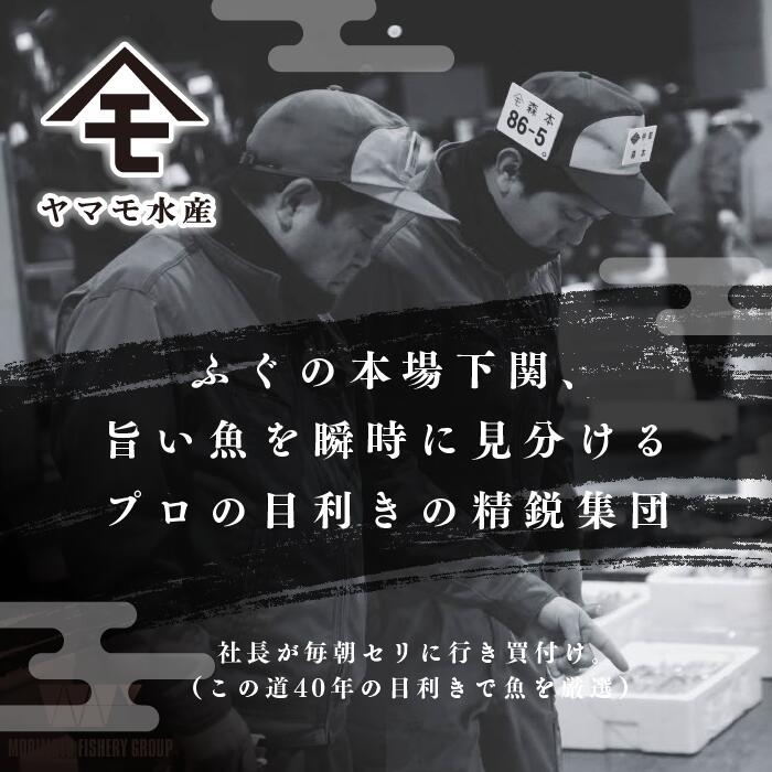 【 下関市2021年度申込数1位!】 ふぐまるごと満喫セット 4~5人前 霜降り 刺身 150g 冷凍 真ふぐ