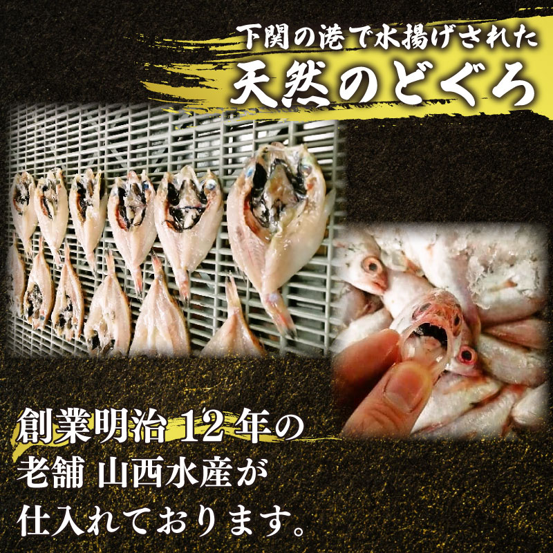 訳あり のどぐろ開き干し 9枚 干物 のどぐろ開き 一夜干し 干物セット のどぐろ訳あり 日本海 国産 海鮮 お取り寄せ 冷凍 ギフト 贈答 晩酌 おつまみ ふるさと納税 下関 山口県