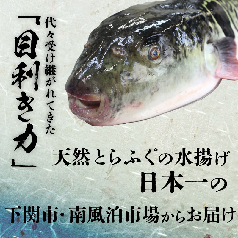 ふぐ 刺身 ちり 鍋 セット 皮 湯引き 3〜4人前 冷凍 とらふぐ 刺し ふぐ 魚 刺身 ふぐ刺し ふぐ鍋 ふぐちり鍋 ポン酢 付き ふぐ フグ フグ刺し てっさ 高級魚 鮮魚 海鮮鍋