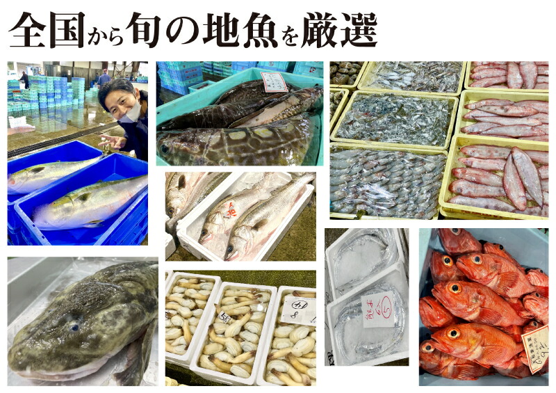 定期便 6ヶ月 サカナDIY 2人前 2種×6ヶ月 魚料理キット ( 鮮魚 海鮮 魚介 海の幸 冷凍 真空 小分け セット 定期便 お楽しみ 毎月変わる 地魚 煮魚 焼き魚 刺身 刺し身 さしみ お造