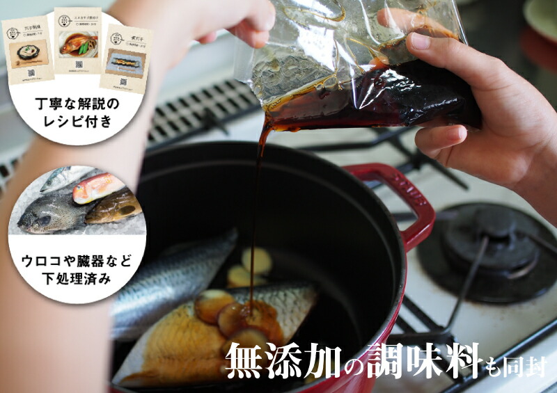 定期便 6ヶ月 サカナDIY 2人前 2種×6ヶ月 魚料理キット ( 鮮魚 海鮮 魚介 海の幸 冷凍 真空 小分け セット 定期便 お楽しみ 毎月変わる 地魚 煮魚 焼き魚 刺身 刺し身 さしみ お造