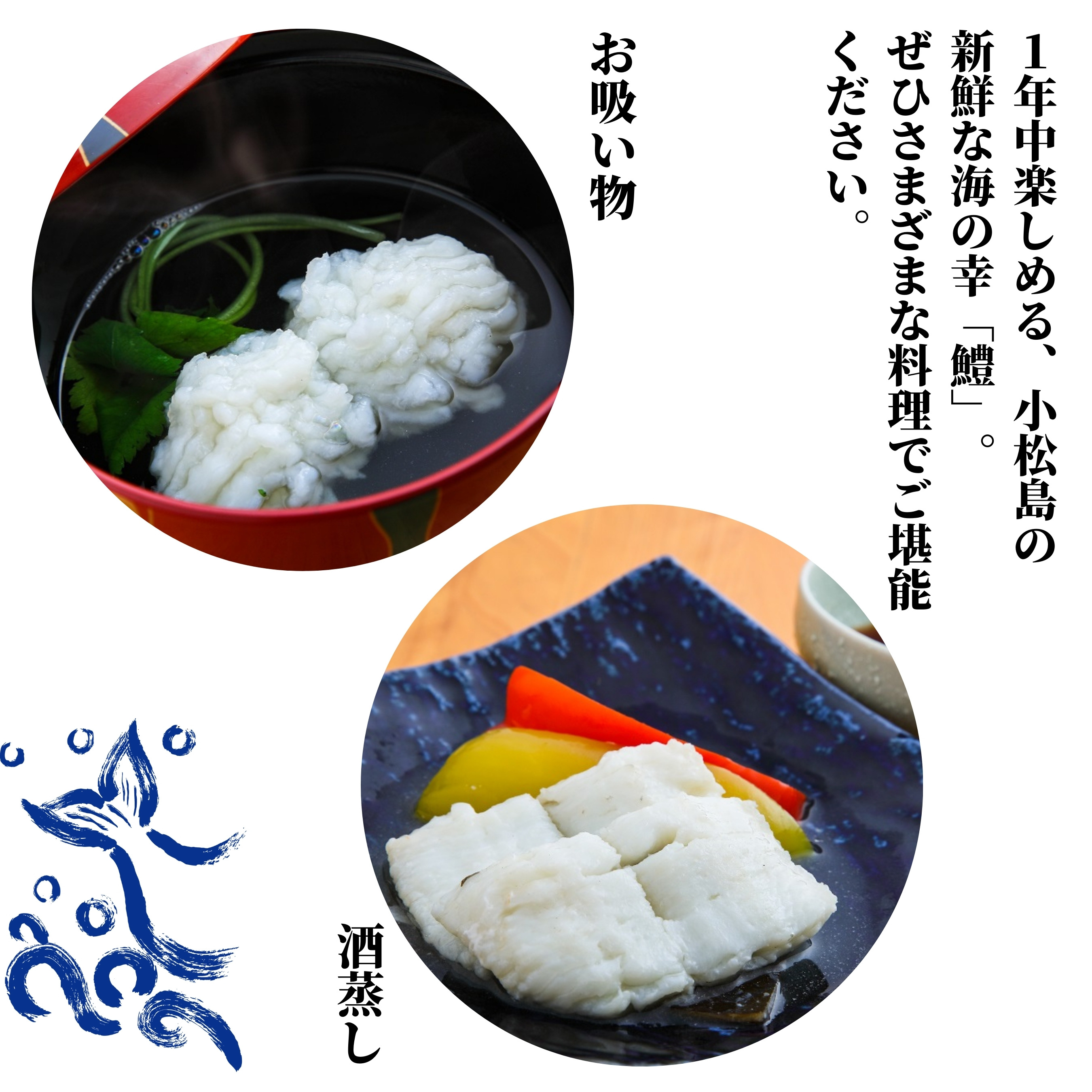 肉厚ふわふわ使い勝手も抜群 鱧 国産 ハモ 切り身 選べる容量 500g~1.2kg 冷凍 骨切り カット済 産地直送