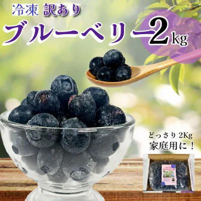 ブルーベリー  冷凍  訳あり 冷凍 2週間発送 2kg 冷凍ブルーベリー 産地直送 フルーツ 新鮮 人気 果物 おすすめ フルーツ 四国 徳島 小松島 送料無料 産地 直送 新鮮