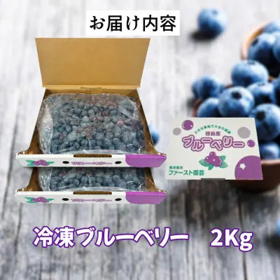 ブルーベリー  冷凍  訳あり 冷凍 2週間発送 2kg 冷凍ブルーベリー 産地直送 フルーツ 新鮮 人気 果物 おすすめ フルーツ 四国 徳島 小松島 送料無料 産地 直送 新鮮
