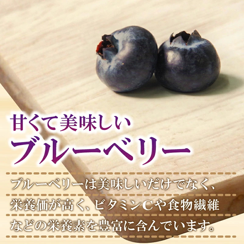 ブルーベリー  冷凍  訳あり 冷凍 2週間発送 2kg 冷凍ブルーベリー 産地直送 フルーツ 新鮮 人気 果物 おすすめ フルーツ 四国 徳島 小松島 送料無料 産地 直送 新鮮