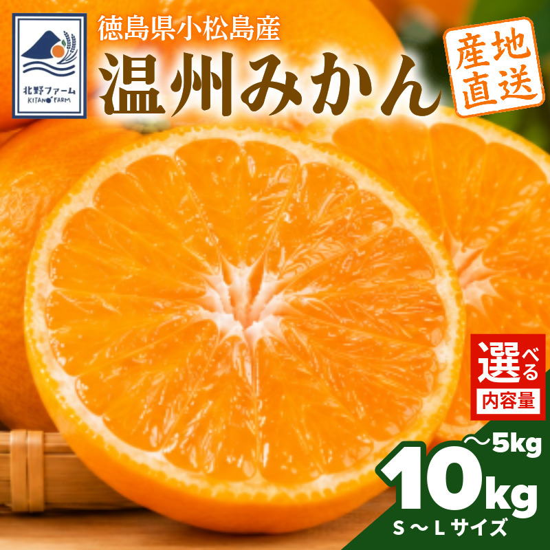 【2026年10月下旬順次発送】　みかん 5kg/10kg 温州みかん S~Lサイズ 小松島市 ミカン mikan 蜜柑 フルーツ 旬 美味しい 贈答 プレゼント