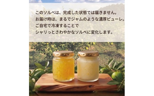 柑橘 デザート 完熟ゆこうのご褒美ソルベ 2個/6個 セット アイス ジェラート ゆこう ご褒美 アイスクリーム  乳製品不使用 柑橘 みかん ゆこう 柚香 レモン ゆず ジャム 冷たい フルーツ